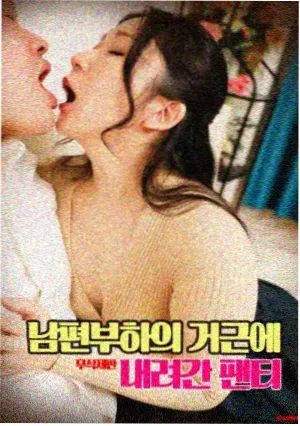 综艺与电影分区交叉入口
